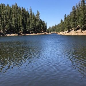 Meet your Posher, Aaliyah